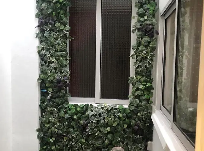 Bruno&playa De Valencia